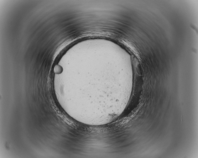 X0000096710928200803041338