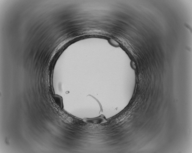 X0000096710931200803041338