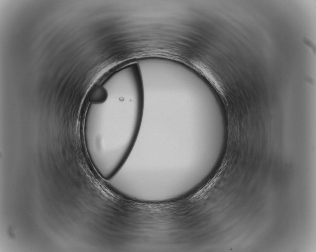 X0000096710932200803041338