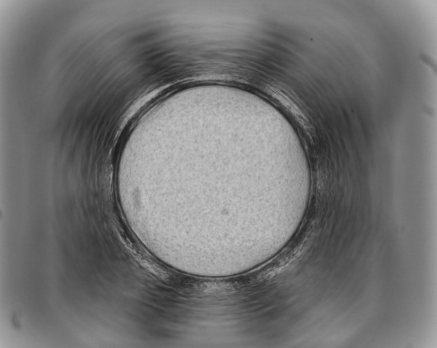 X0000096710933200803041338