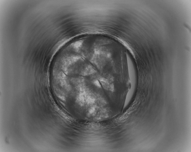 X0000096710935200803041338