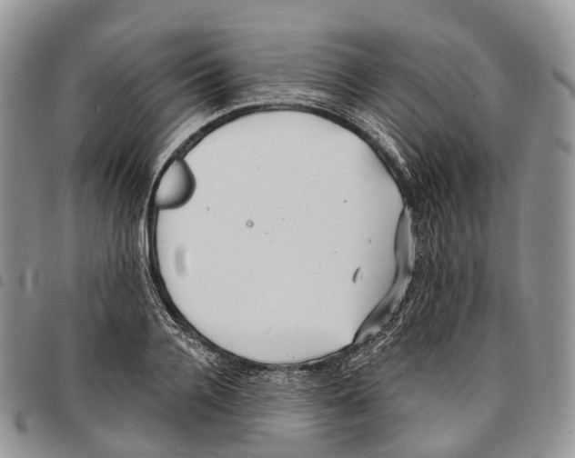 X0000096710936200803041338