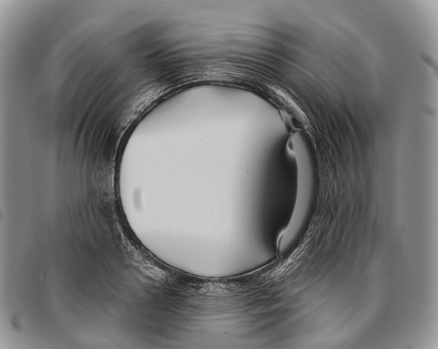 X0000096710938200803041338