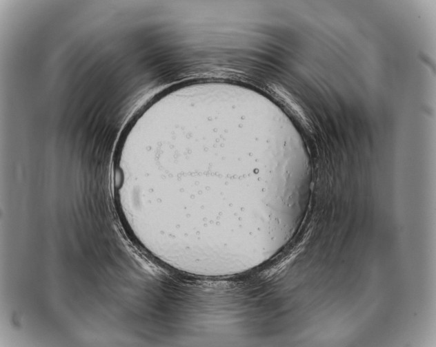 X0000096710940200803041338