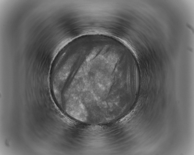 X0000096710943200803041338