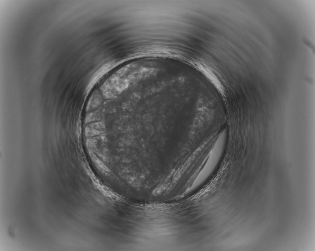 X0000096710944200803041338