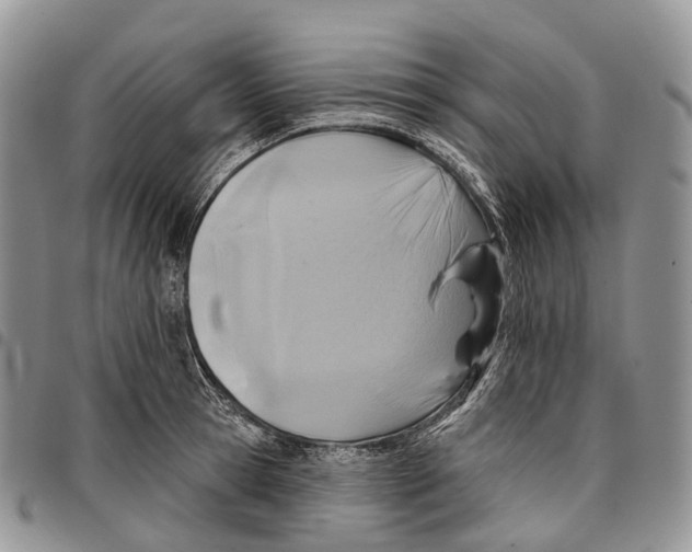 X0000096710945200803041338