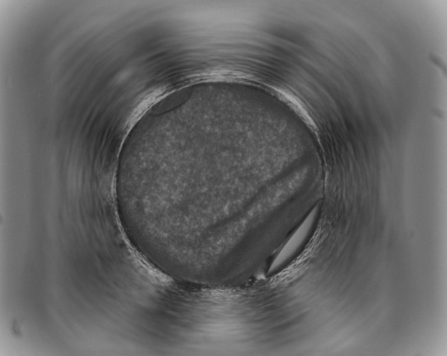 X0000096710946200803041338