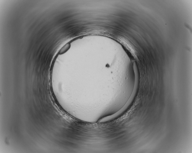 X0000096710948200803041338