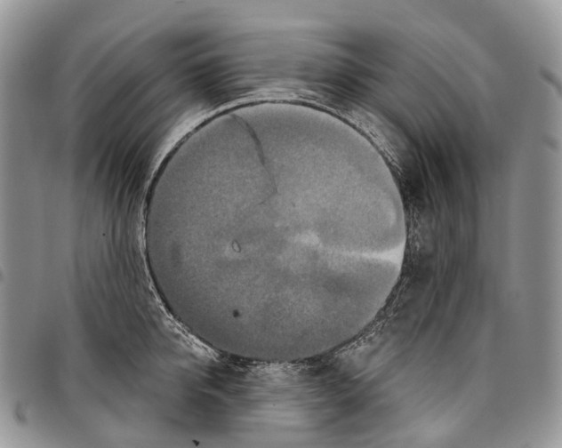 X0000096710950200803041338