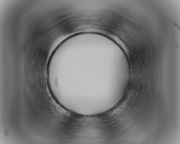 X0000096710951200803041338