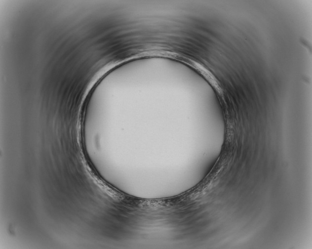 X0000096710955200803041338