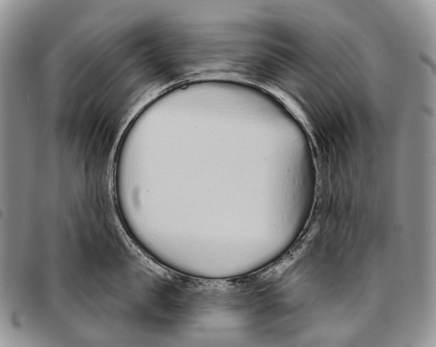 X0000096710957200803041338