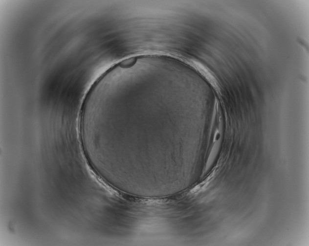 X0000096710958200803041338