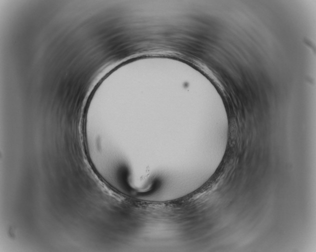 X0000096710959200803041338