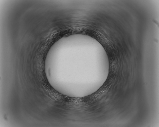 X0000096710961200803041338