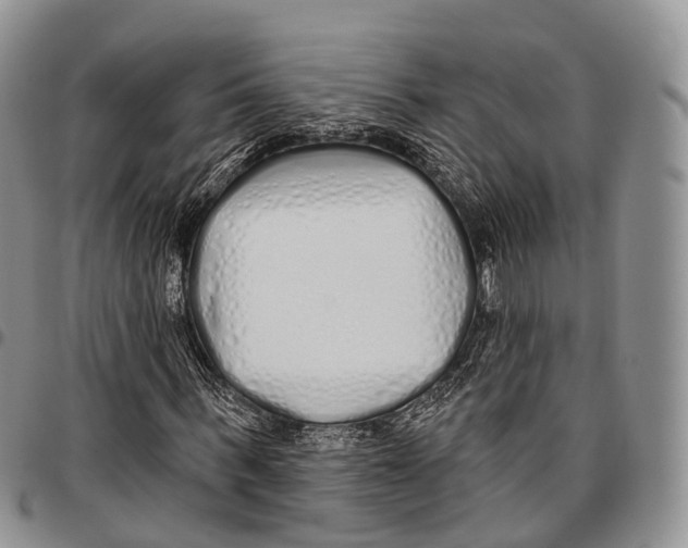 X0000096710963200803041337