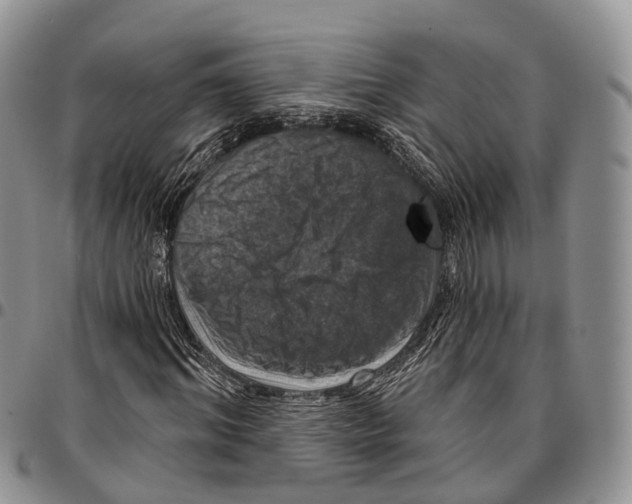 X0000096710964200803041337