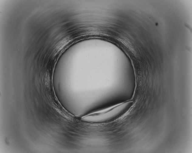 X0000096710969200803041337