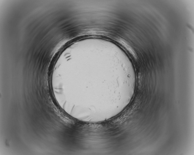 X0000096710972200803041337