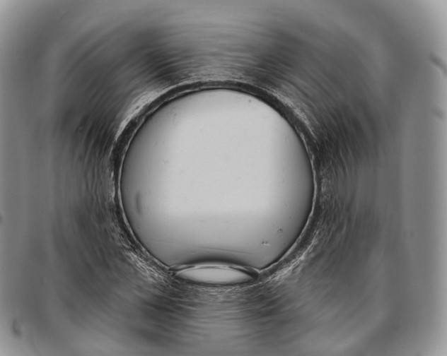 X0000096710973200803041337