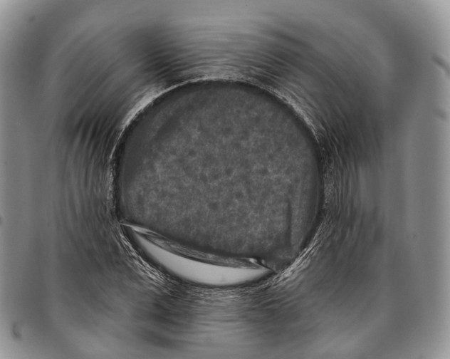 X0000096710975200803041337