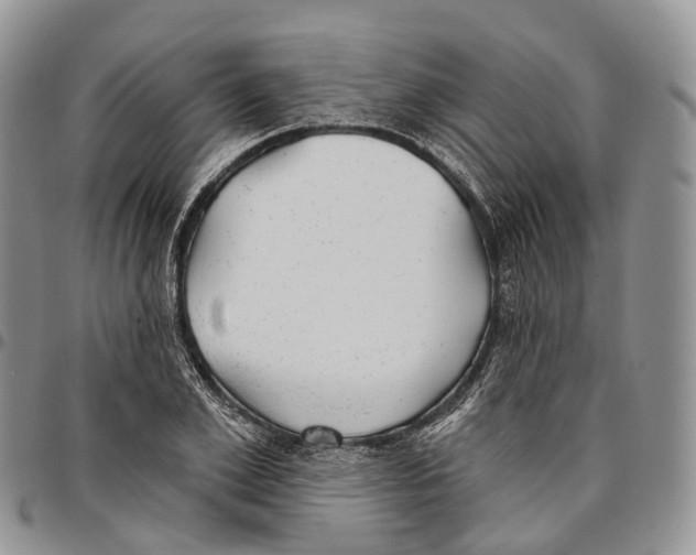 X0000096710981200803041337