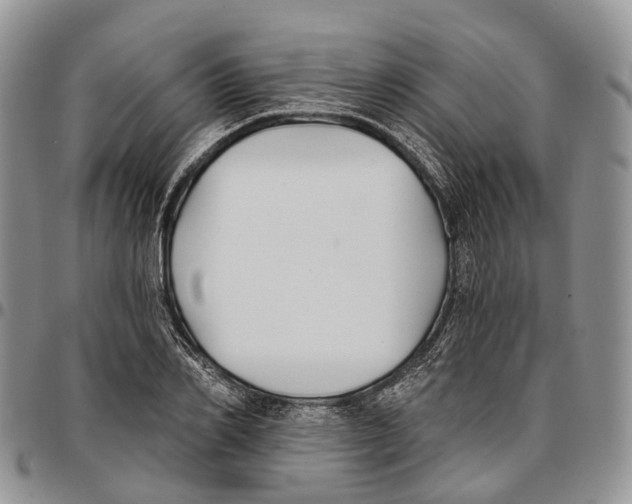 X0000096710982200803041337