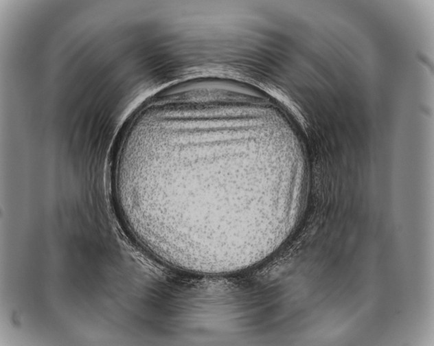 X0000096710983200803041337