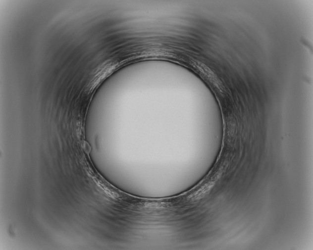 X0000096710985200803041337