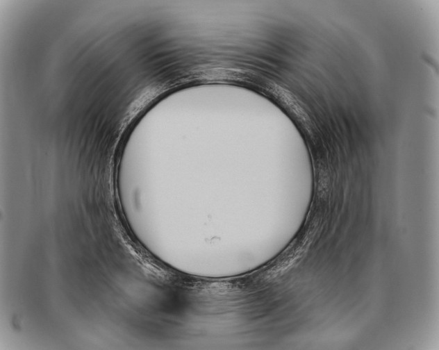 X0000096710986200803041337