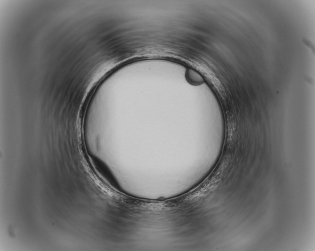 X0000096710990200803041337