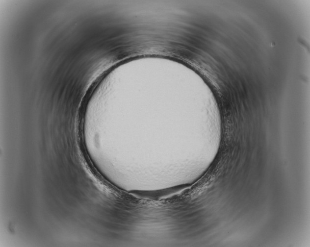 X0000096710991200803041337