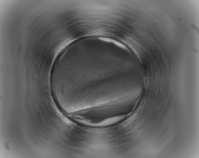 X0000096710995200803041337