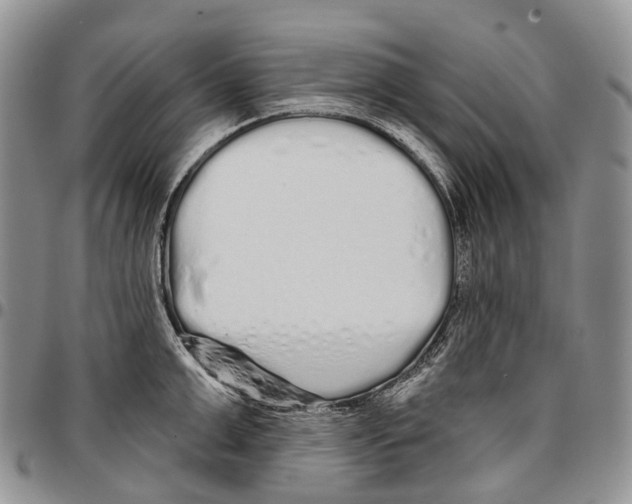 X0000096710999200803041337