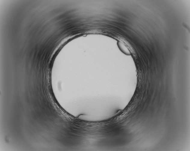 X0000096711000200803041337