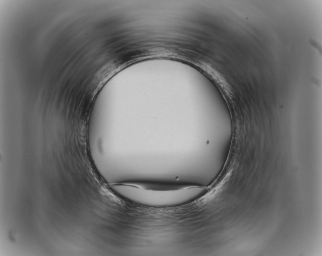 X0000096711001200803041337