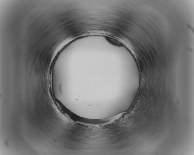 X0000096711003200803041337