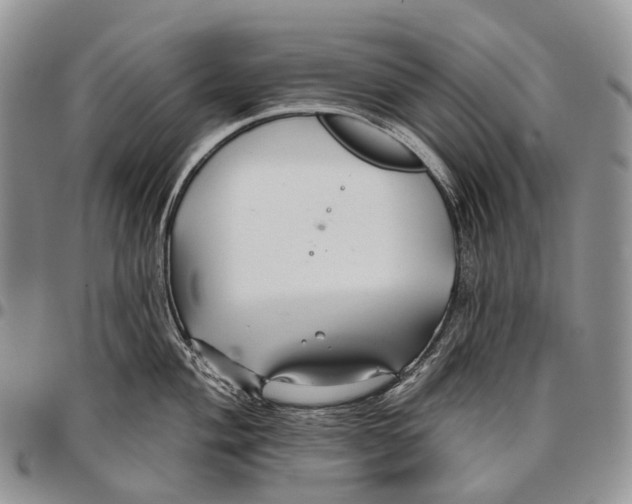 X0000096711004200803041337