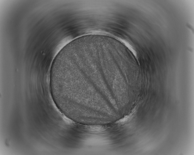 X0000096711007200803041337