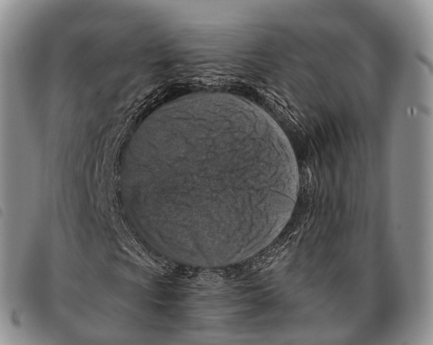 X0000096711009200803041336