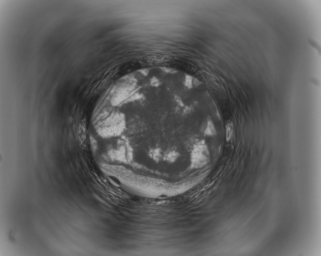 X0000096711011200803041336