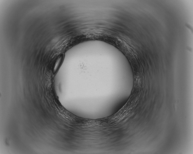 X0000096711012200803041336