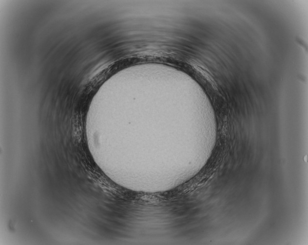 X0000096711015200803041336