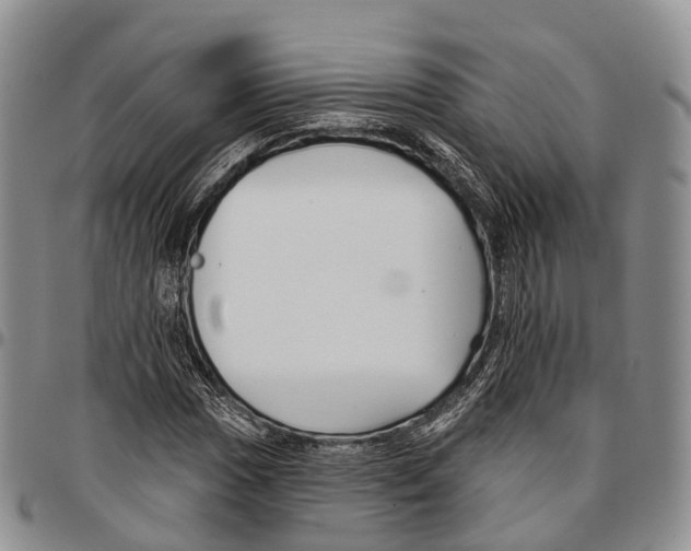 X0000096711017200803041336