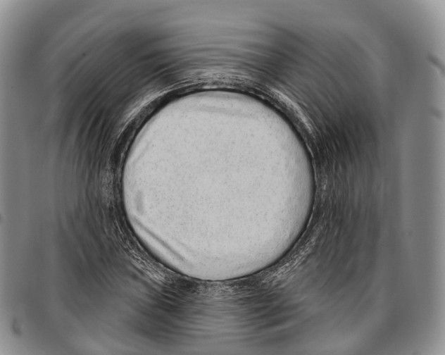 X0000096711019200803041336