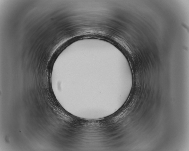 X0000096711021200803041336