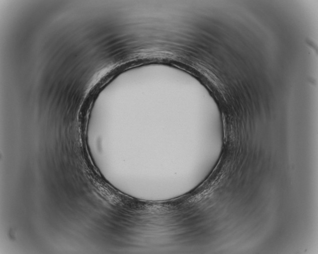 X0000096711022200803041336