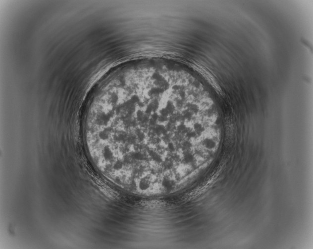 X0000096711023200803041336