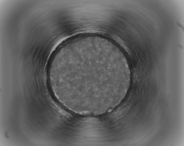 X0000096711024200803041336